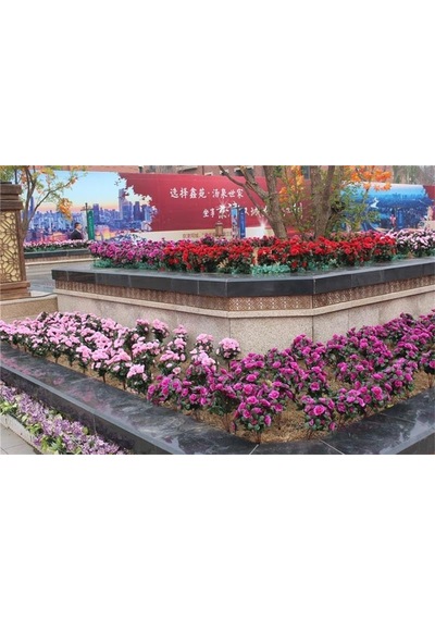 Nettenevime Yapay Çiçek Lila Açık Açelya Demeti 7 Dallı 33 20cm Çok Renkli