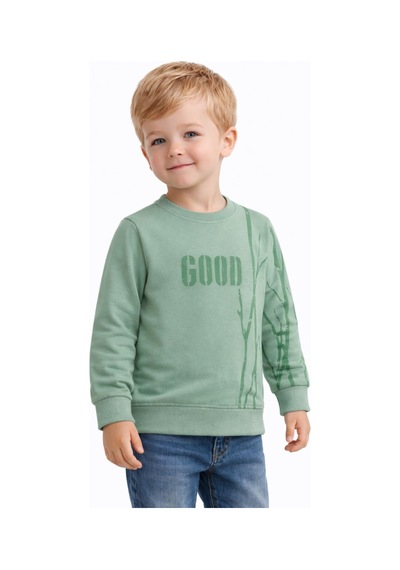 Baglan Erkek Çocuk Önü Arkası Baskılı Sweatshirt Bgl-st05241 Açık Yeşil