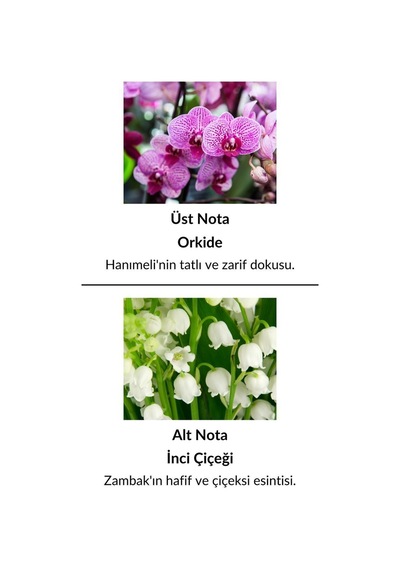 Alescia St-74 Kadın Parfüm EDP 50 ML