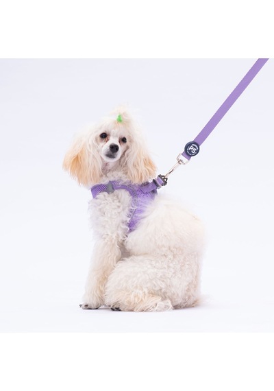 Pawstar L10 Lila Sevk Kayışı Lila