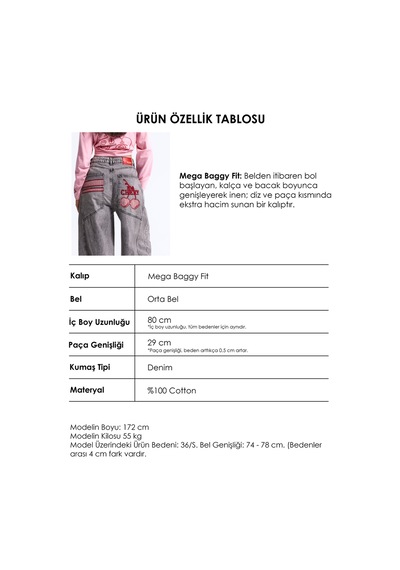 Kadın Füme 4w6-13 Mega Baggy Tt18 Chery Nakış Özel Tasarım Denim Jean