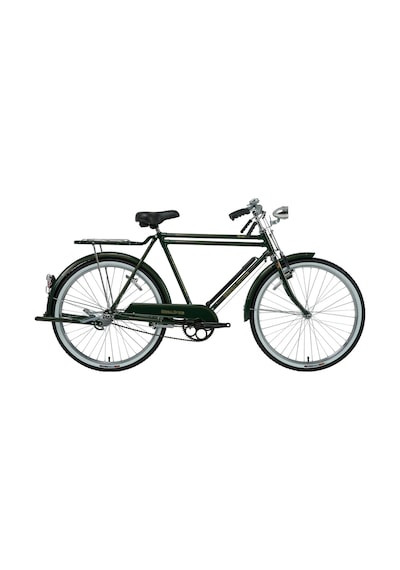 Bisan Roadstar Classıc Erkek Hizmet Bisikleti 58cm V 26 Jant 1 Vites Yeşil Çok Renkli