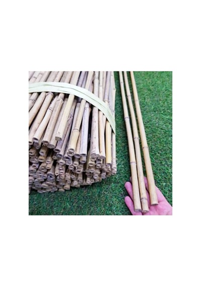 Bambu Bitki Destek Çubuğu 180 Cm, 5 Adet, Sağlam Ve Dayanıklı Bah