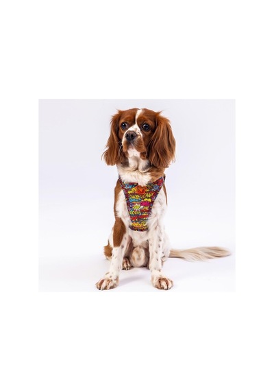 Pawstar Air-mesh Wow Köpek Göğüs Tasması 2xs Genel