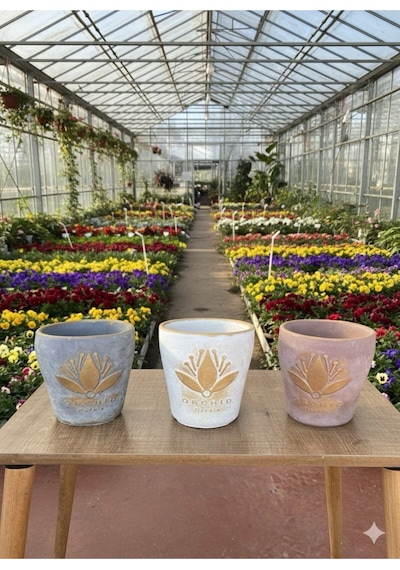 Lotus Desenli Dekoratif Çiçek Ve Orkide Saksı - 3 Farklı Renk