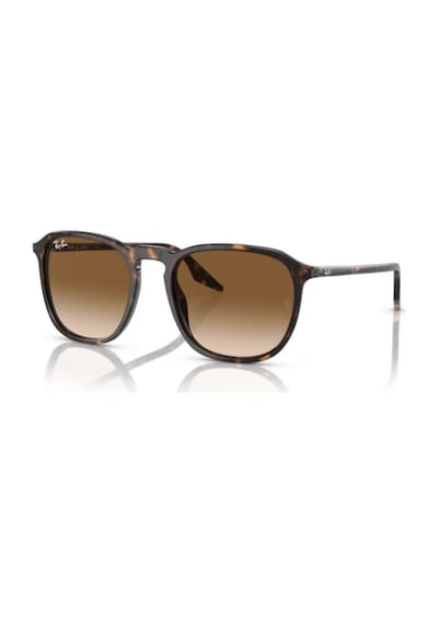 Ray-ban Güneş Gözlüğü Rb2203 55 902/51 Kahverengi