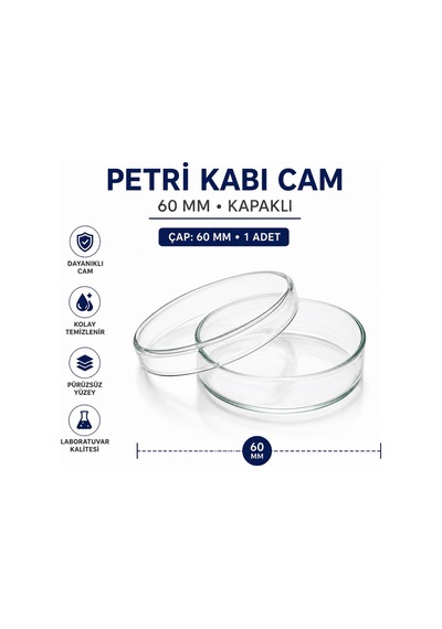 Labolist Kapaklı Petri Kabı Cam 60 MM