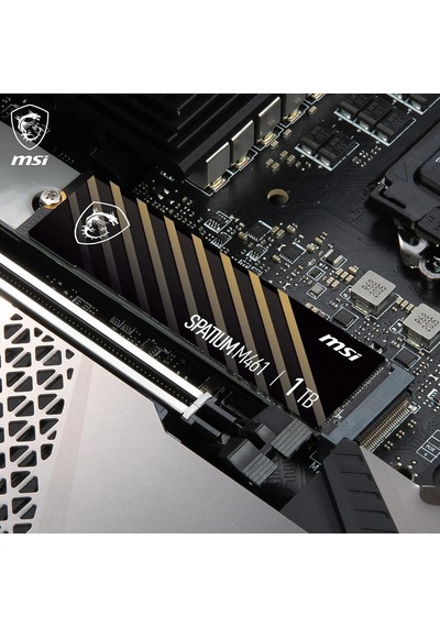 Spatıum M461 Pcıe 4.0 Nvme M.2 1tb Ssd