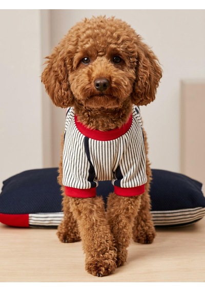 Yacht Club Marin Çizgili Köpek Uyku Takımı Lacivert Kırmızı Pamuklu Köpek Tulumu Ve Mini Yastık Küçük Irklar İçin