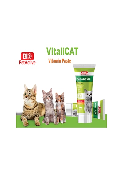 Vitalicat Kediler İçin Vitamin, Macun Paste , 100 Ml