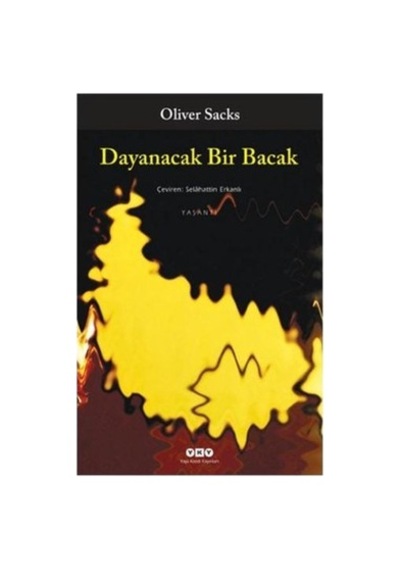 Oliver'ın Dayanma Gücü, İlginç Bir Roman