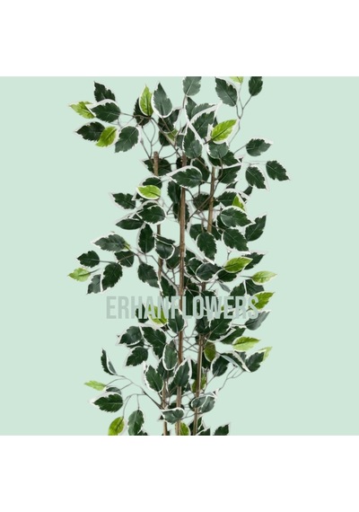 110 Cm Bambu Gövdeli Beyaz Benjamin Ficus Ağacı Yeşil