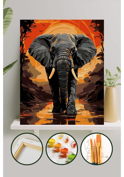 Sayılarla Boyama Tuval Seti 40x50 Cm - Fil