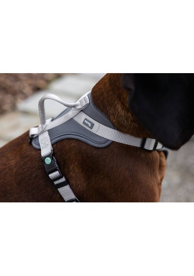 Y Tipi Spor Köpek Göğüs Tasması 20 Mm 38-62 / 58-74 Cm - Fitty Serisi - M Gri