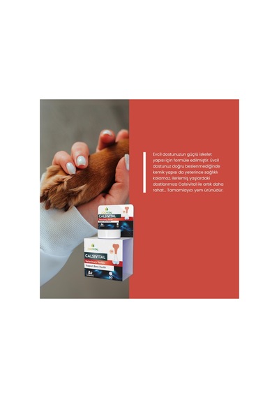 Calsivital Kedi Ve Köpekler İçin Destekleyici Lezzetli 60 Tablet