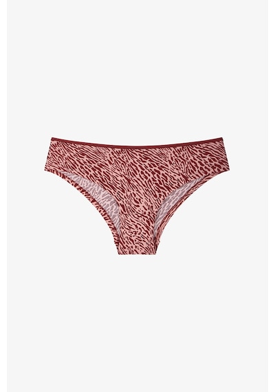 Penti Renkli Peach Leo 3'lü Pamuklu Hipster Külot