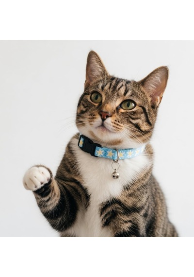 Tatucha Galaxy Harmony Kedi Boyun Tasması, Özel Koleksiyon, Lacivert Açık Mavi