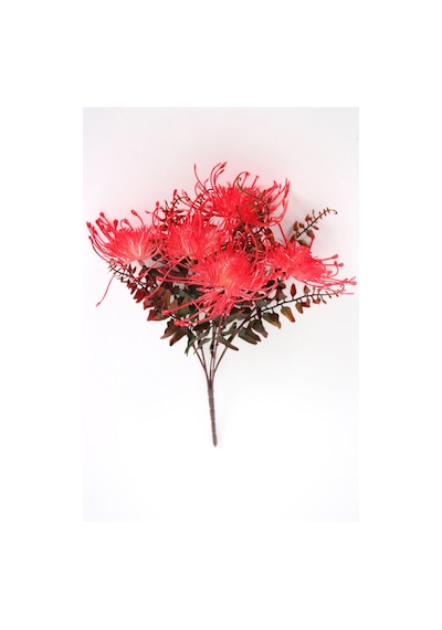 Yapay Polen Demeti Pincushion Kırmızı Kırmızı