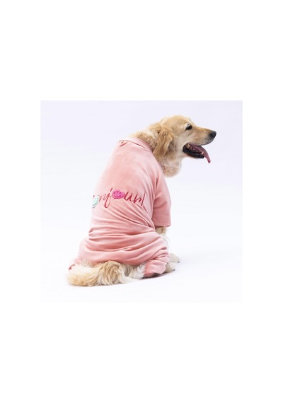 Rose Angers Büyük Irk Köpek Tulum-köpek Kıyafeti