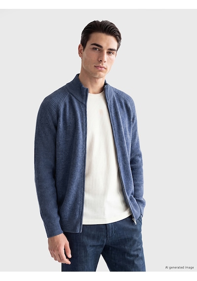 LC Waikiki Lc Waıkıkı Mavi Regular Fit Dik Yaka Erkek Triko Hırka