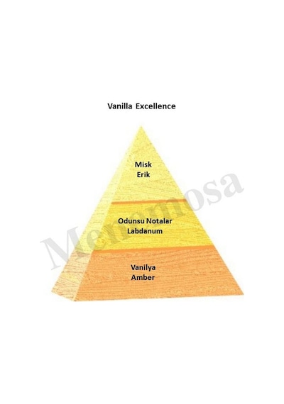 Bargello Vanilla Excellen Unisex Parfüm EDP 50 ML Mystıq Edıtıon - Mnms50v Amber Çiçeksi