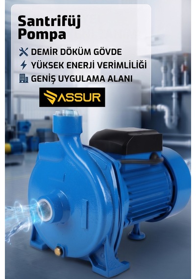 Assur Cpm158 29m Basınç Yüksekliği 1 Hp Bakır Sargı Elektrikli Santrifüj Pompa Su Motoru-3154