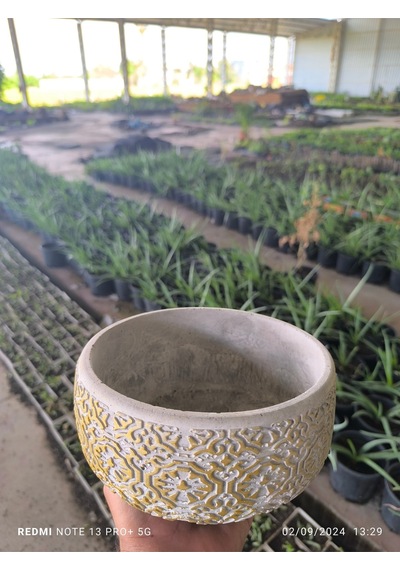 Dantel Desenli Bonsai Aranjman Ve Orkide Saksısı No 1