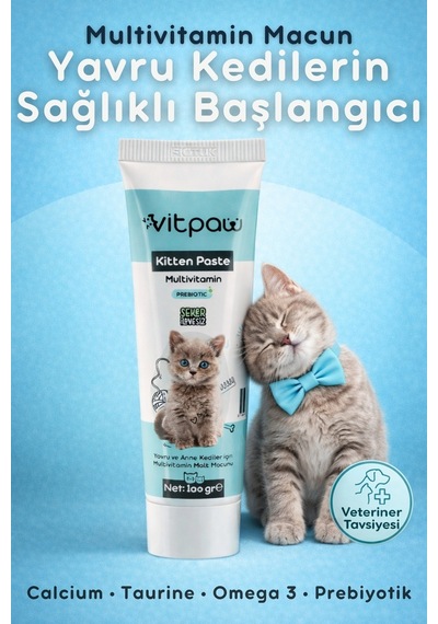 Vitpaw Kitten & Mom Paste