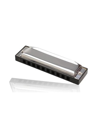 Honer H1005 Özel Kutulu 10c Chromatic Harmonika-10 Delik Mızıka