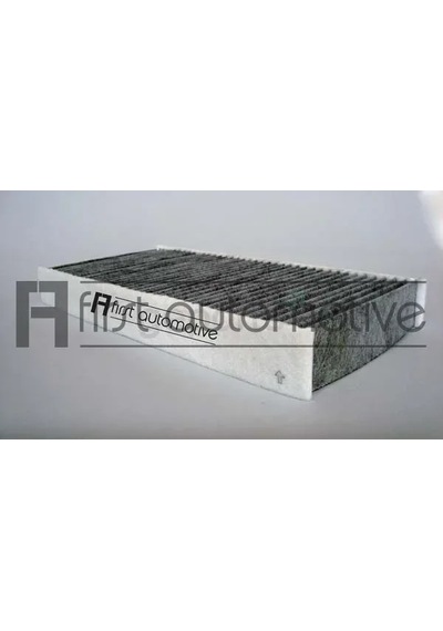Polen Filtresi 407/c5 2 2004 Karbonlu