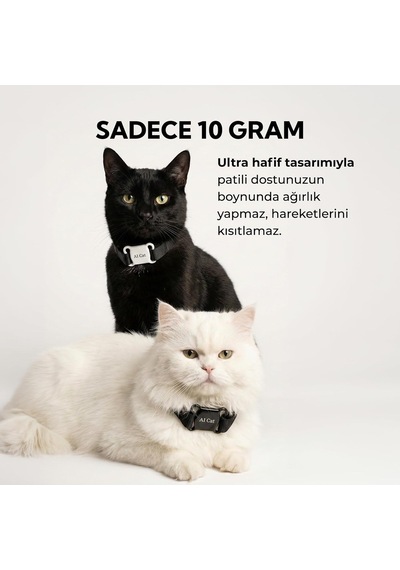 Köpek Aicattag Tasma,kedi Tag,hayvan Takipcihazı,tag Pet Tasma Ios&androiduyumlu Genel