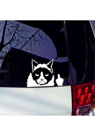 Kedi Komik Şaka Sticker Etiket Yapıştırma 19Cm