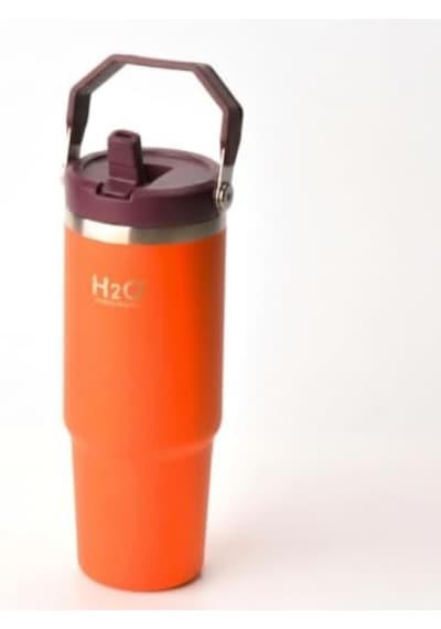 Paslanmaz Çelik Termos Matara - 900 Ml 1 Litre Kapasiteli, Pipetli Ve Emzikli Çelik Suluk 4 Renk Seçeneği Turuncu Açık Beyaz Paslanmaz Çelik Termos Matara - 900 Ml 1 Litre Kapasiteli, Pipetli Ve Emzikli Çelik Suluk 4 Renk Seçeneği Turuncu Açık Beyaz