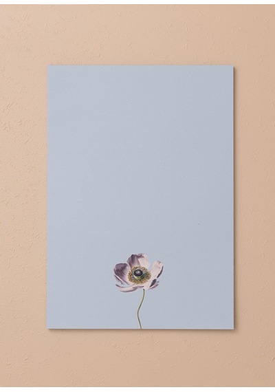 The Mia Art Line Mini Notluk Anemone 21x30 Cm 40 Yaprak