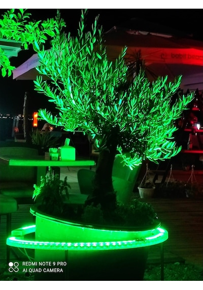 Palmiye Ağaç Aydınlatma Işık Boyama Led 35Cm Diğer