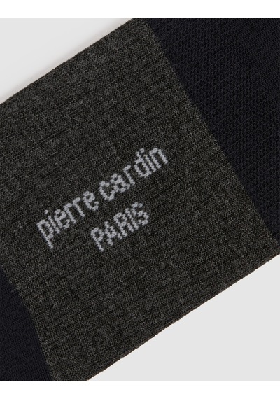 Pierre Cardin Erkek Lacivert Çorap 50325781-vr033