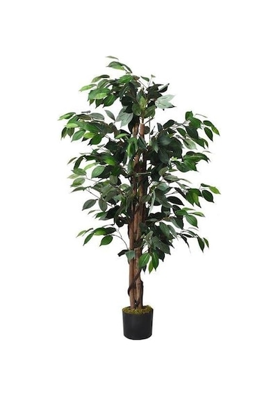 Ayrex Yapay Ağaç Benjamin 2 Gövdeli Çalılı 120x70cm Siyah Plastik Saksılı Diğer
