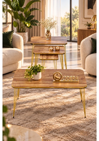 Odera Çift Ceviz Orta Sehpa Ve Zigon Sehpa 4'lü Set Metal Tel Ayaklı Modern Retro Salon Sehpası Diğer