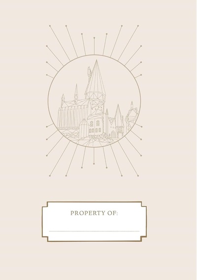 Lexroo Harry Potter 2024-2025 Academic Year Planner Çok Renkli