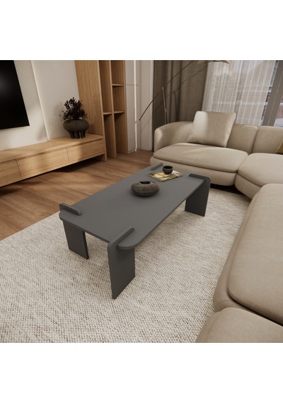 Odaco Fuji Modern Premium Oval Ayaklı %100 Mdflam Salon Orta Sehpa 120x60x40 Cm Antrasit