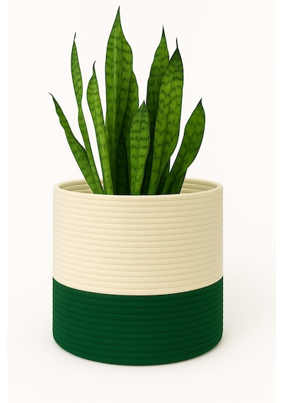 Mavaux Dekoratif Jüt Saplı Hasır Sepet Saksı 20cm X 20 Cm, Jüt Bej Saksılık, Dekoratif Saksı Ve Havluluk Yeşil