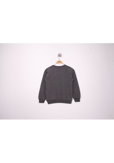 Toontoy Kids Toontoy Erkek Çocuk Relax Fit Bisiklet Yaka Baskılı Sweatshirt - 2 İplik Antrasit