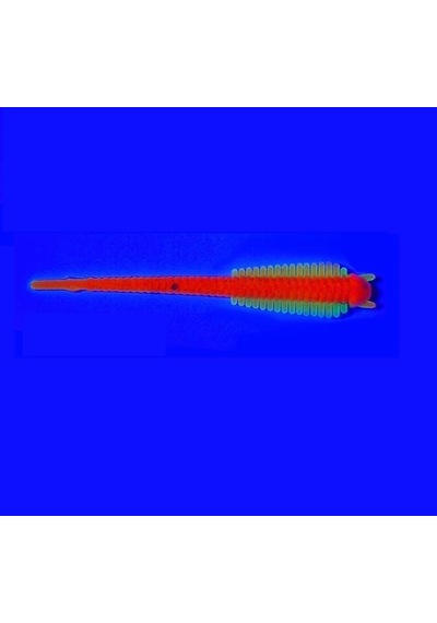 Spıınx Sandworm Lrf Silikon 6cm 18p Glow Renk: Firetiger