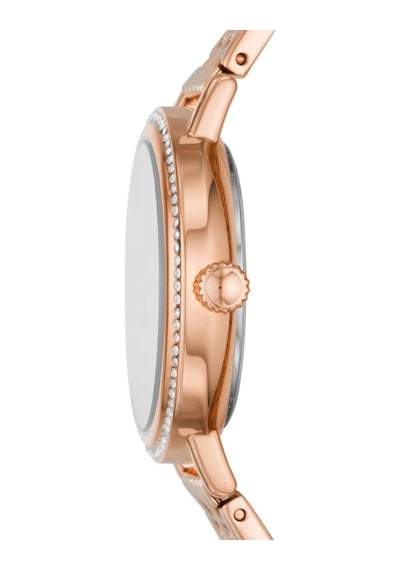 Fossil FBQ3688 Kadın Kol Saati