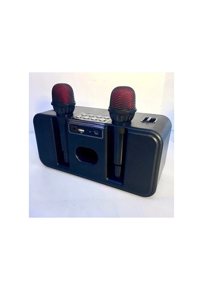 186pro Çift Kablosuz Mikrofonlu Bluetooth Speaker Şarjlı Taşınabilir Kablosuz Hoparlör 20w Party Speaker Hafıza Kartı Ve Usb Girişli Ses Bombası