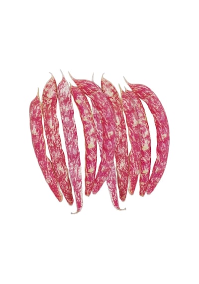 Yerli Organik Taze Barbunya 1 KG