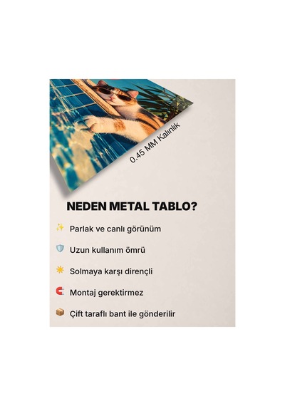 Summer Vibes Calico Kedi Metal Tablo - Havuz Başı, Kokteyl Ve Yaz Tatili Temalı Komik Dekoratif Duvar Posteri Çok Renkli - 937547925 Çok Renkli - 937547925 Çok Renkli Summer Vibes Calico Kedi Metal Tablo - Havuz Başı, Kokteyl Ve Yaz Tatili Temalı Komik Dekoratif Duvar Posteri Çok Renkli - 937547925 Çok Renkli - 937547925 Çok Renkli