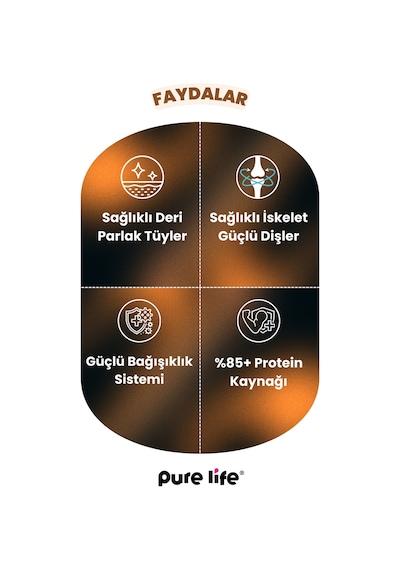 Purelife Tavuk Etli Yetişkin Kedi Maması 15 KG