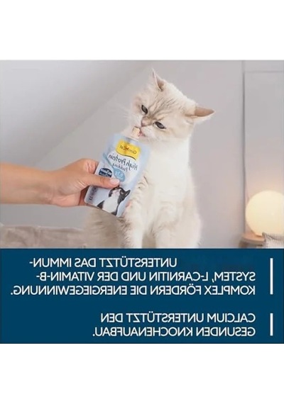 Yüksek Proteinli Puding - Lezzetli Atıştırmalık, 100 G