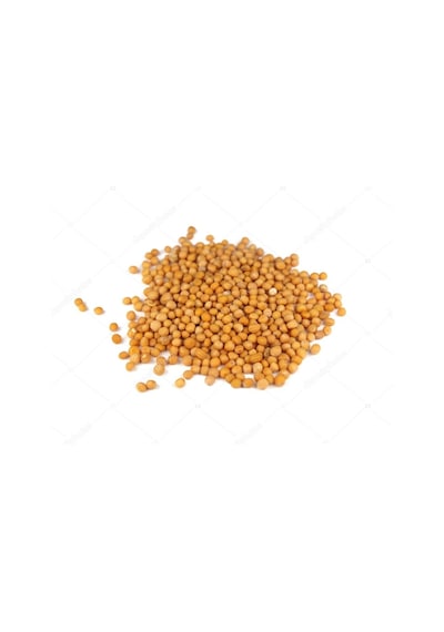 Sarı Hardal Tohumu 100 GR